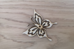 IMG_20210131_103730_1